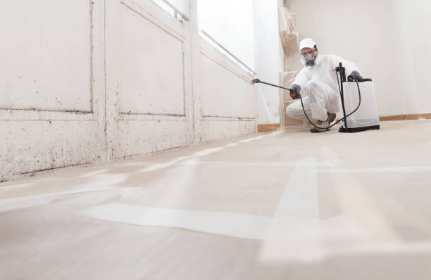24/7 Emergency Black Mold Remediation experts in Richmond, MI
